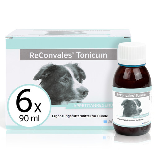 Reconvales tonicum hund - tonicum,